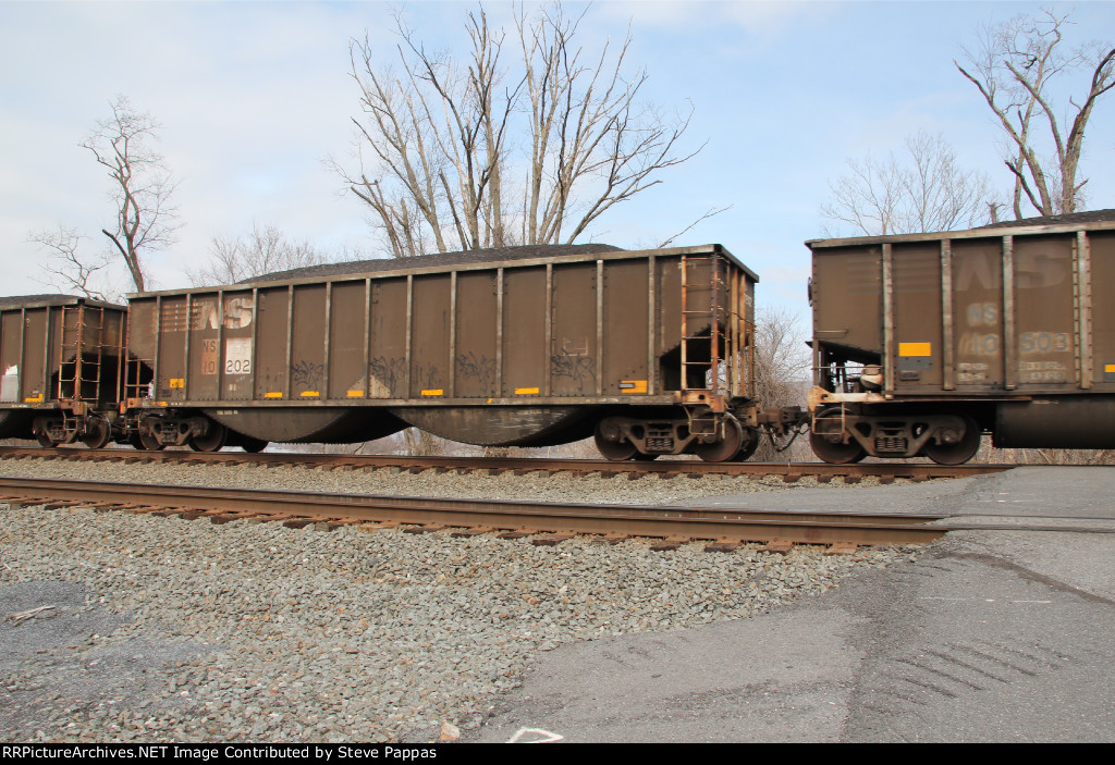NS 10202
